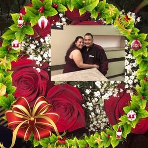 Meet your Posher, Olga